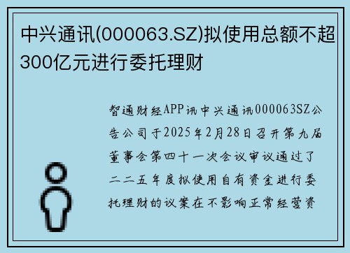 中兴通讯(000063.SZ)拟使用总额不超300亿元进行委托理财