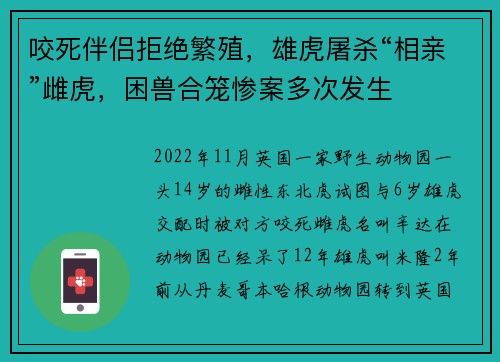 咬死伴侣拒绝繁殖，雄虎屠杀“相亲”雌虎，困兽合笼惨案多次发生