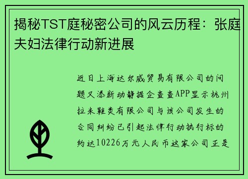 揭秘TST庭秘密公司的风云历程：张庭夫妇法律行动新进展
