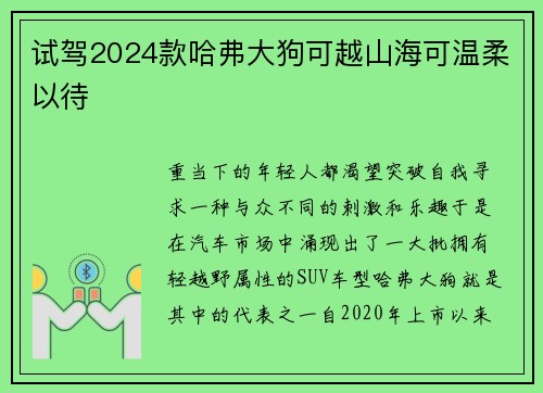 试驾2024款哈弗大狗可越山海可温柔以待