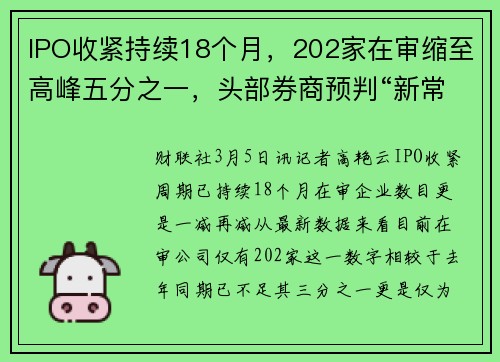 IPO收紧持续18个月，202家在审缩至高峰五分之一，头部券商预判“新常态”