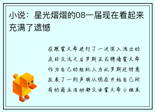 小说：星光熠熠的08一届现在看起来充满了遗憾
